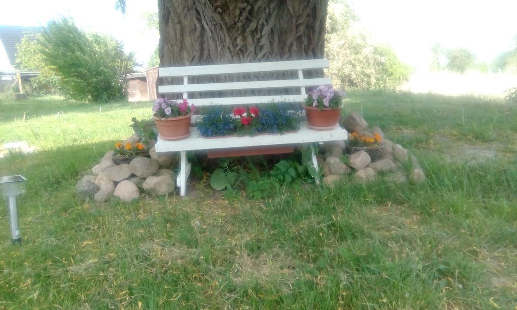 Das Haus Am Teich Gross Grabow Екстер'єр фото