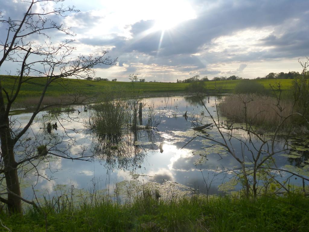 Das Haus Am Teich Gross Grabow Екстер'єр фото